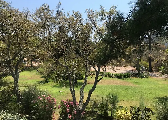 Porto-vecchio Baie Santa Giulia 4-5 Personnes *